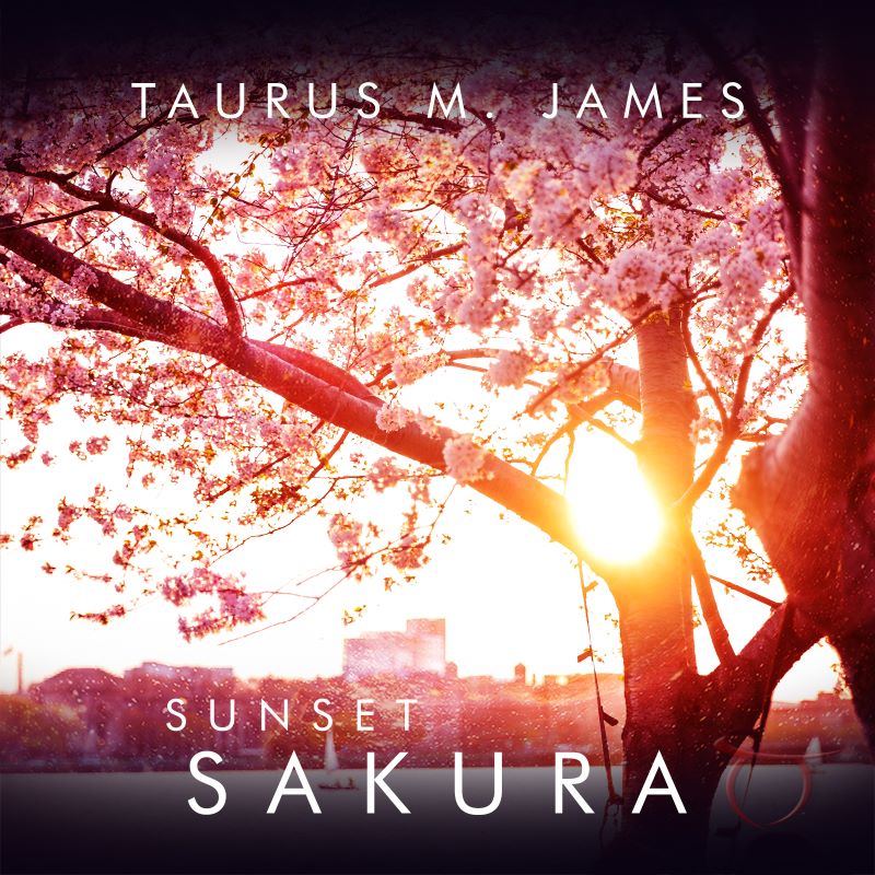 Sunset Sakura album cover