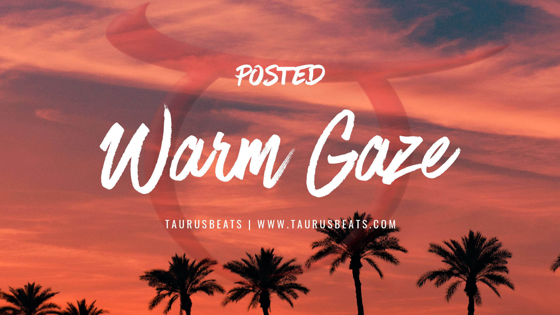 image for Warm Gaze