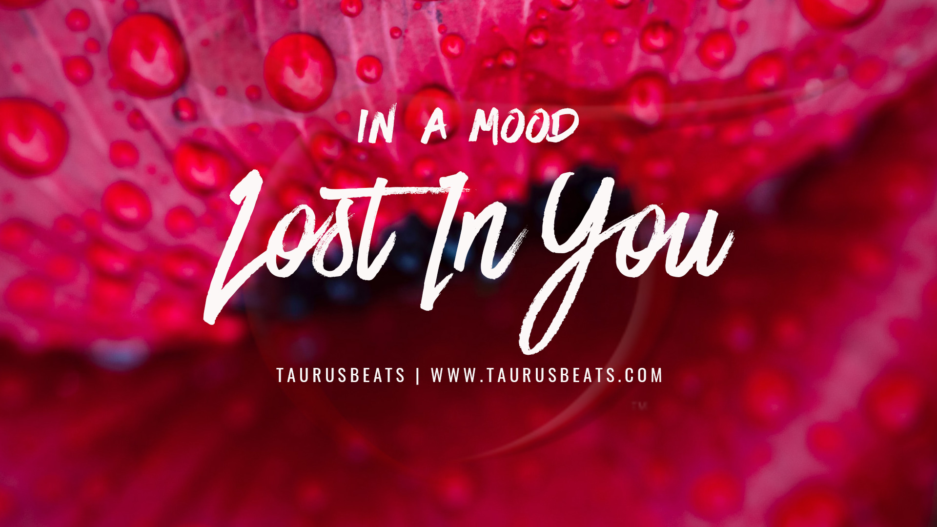 image for Lost In You