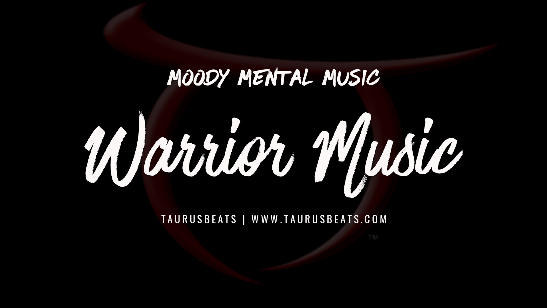 image for Warrior Music: Unheard Melodies from the Book of Acts